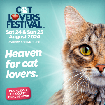 Cat Lovers Festival Sydney