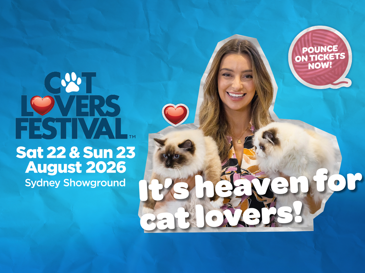 Cat Lovers Festival