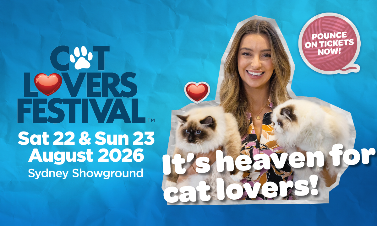 Cat Lovers Festival