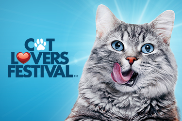 Cat Lovers Festival Sydney