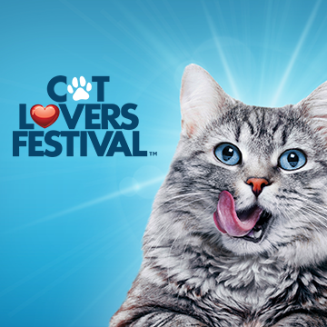 Cat Lovers Festival Sydney