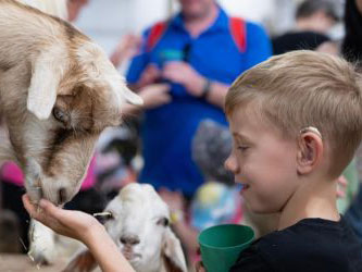 Sydney Royal Easter Show